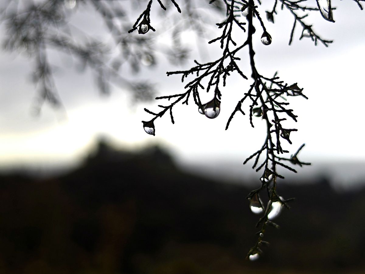 Fotografía 14 de la exposición Gotas