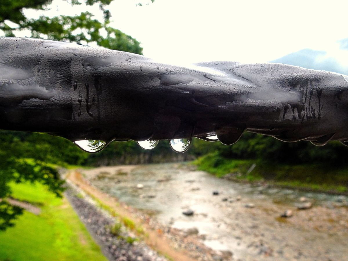 Fotografía 18 de la exposición Gotas
