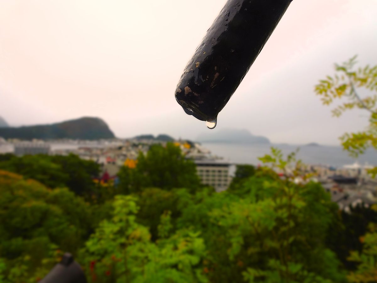 Fotografía 19 de la exposición Gotas