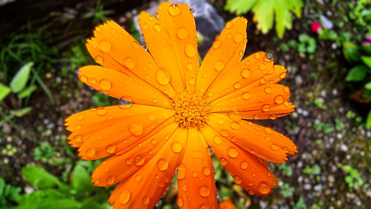 Fotografía 28 de la exposición Gotas