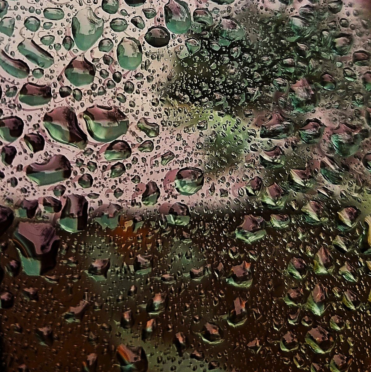 Fotografía 29 de la exposición Gotas