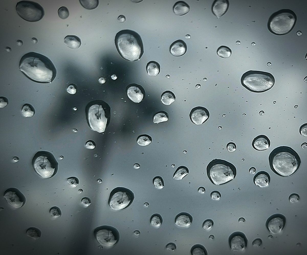 Fotografía 32 de la exposición Gotas