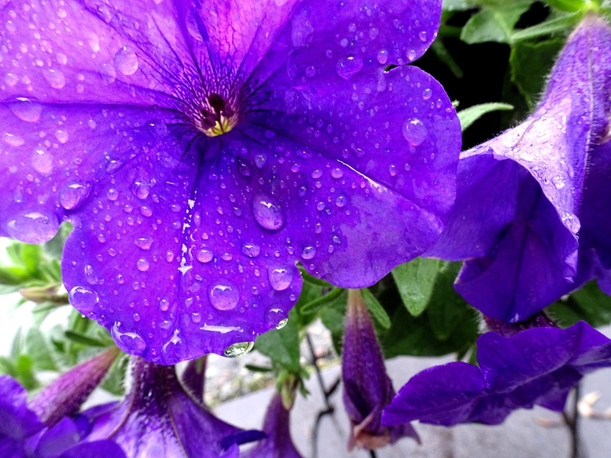Fotografía 33 de la exposición Gotas