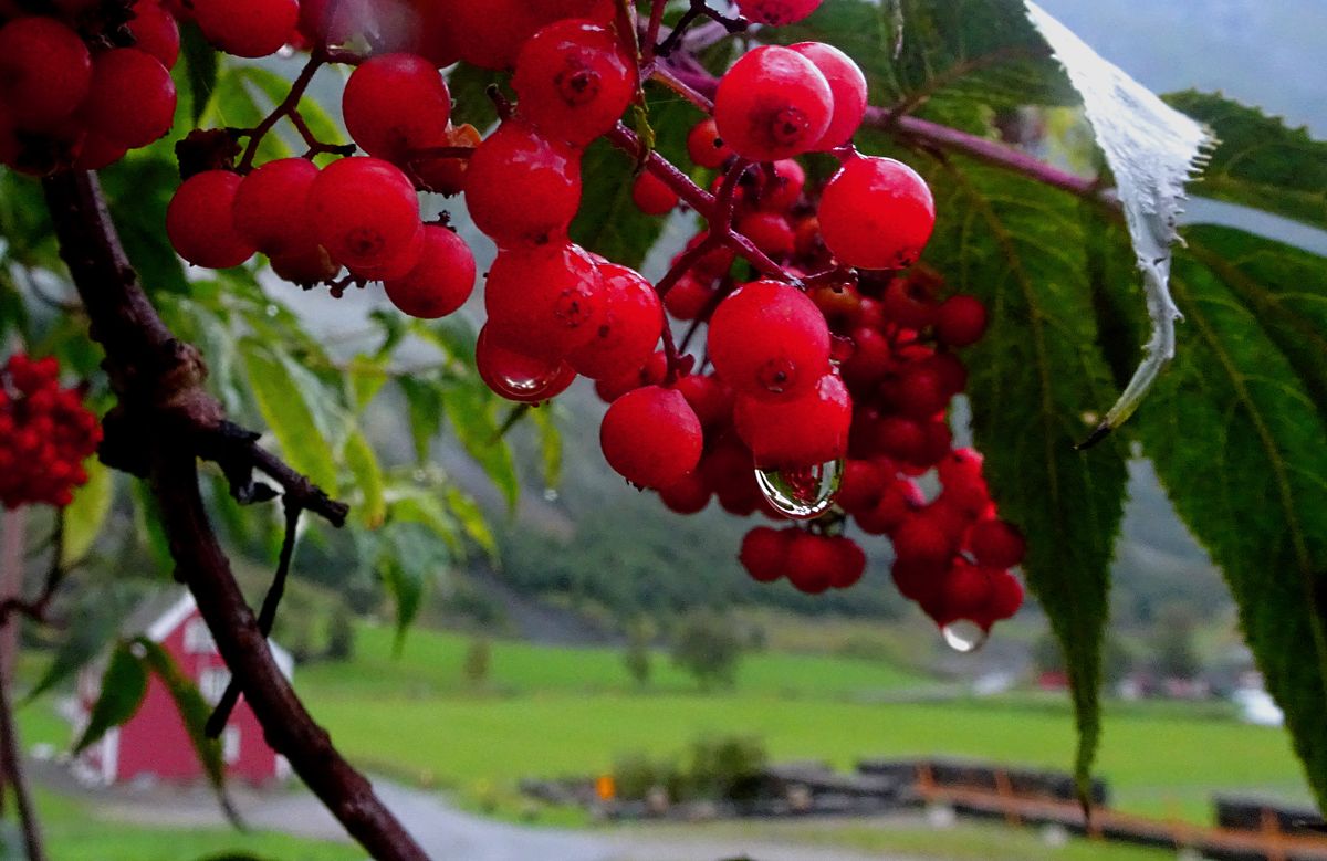 Fotografía 37 de la exposición Gotas