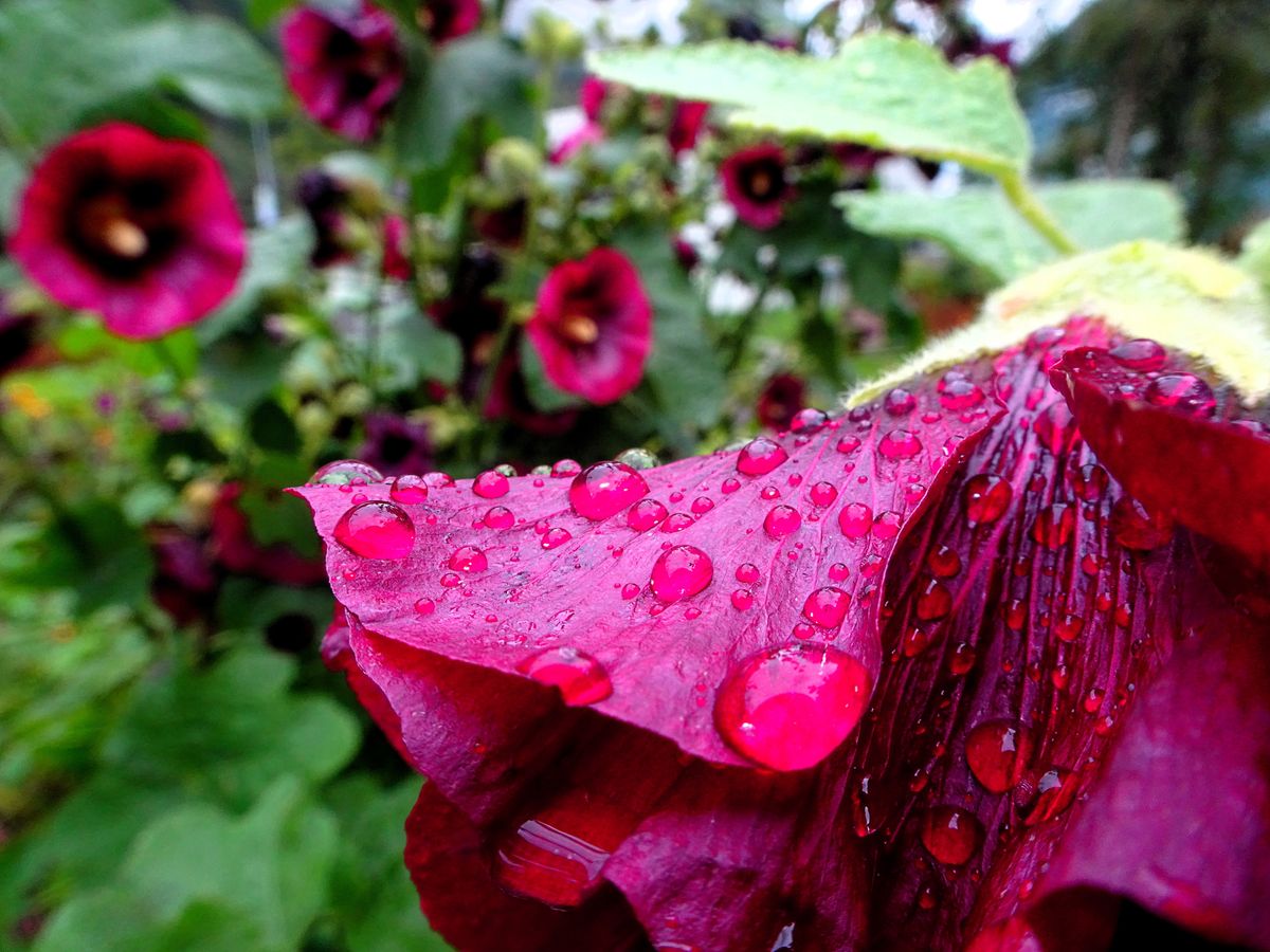 Fotografía 42 de la exposición Gotas