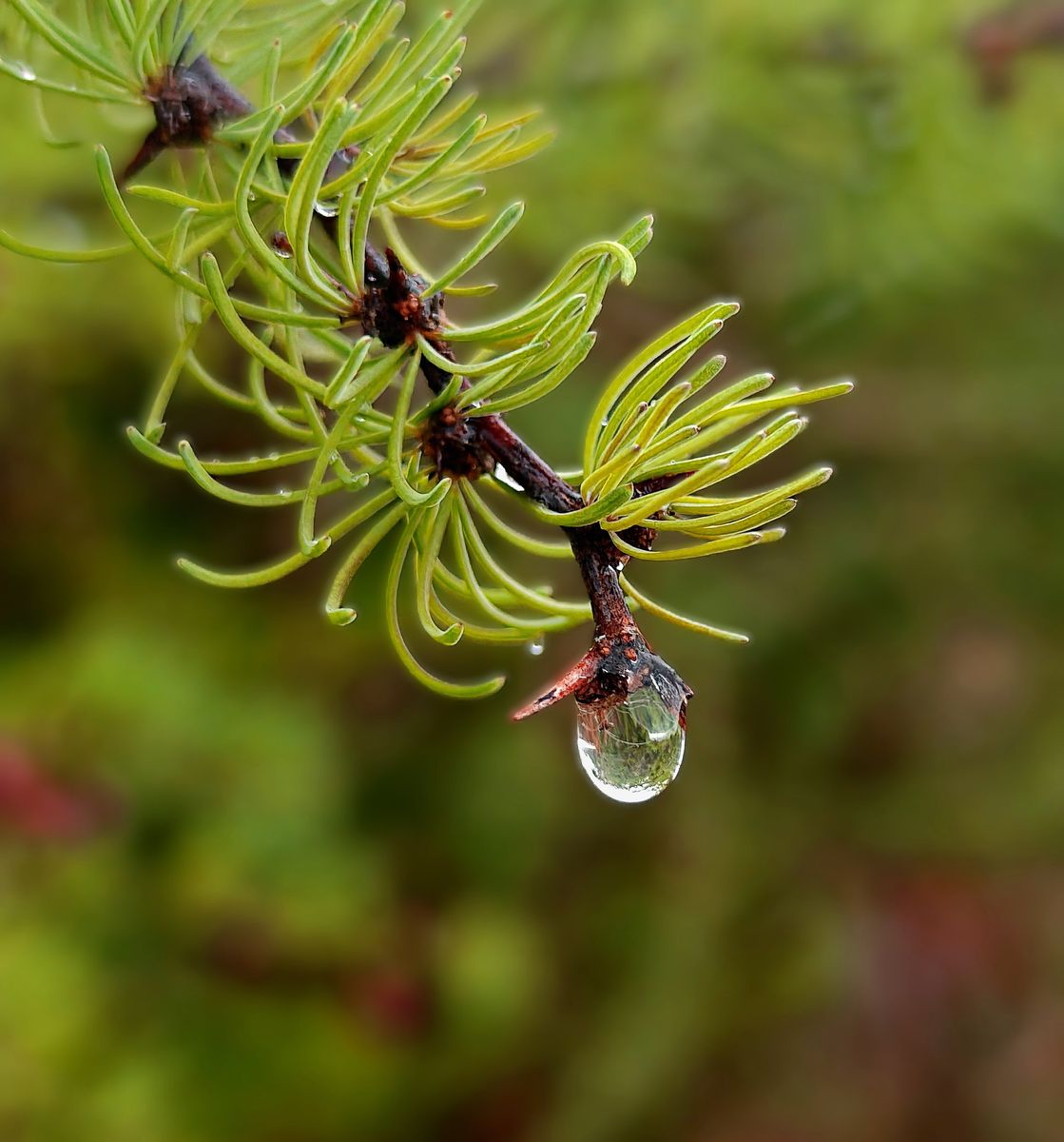 Fotografía 46 de la exposición Gotas