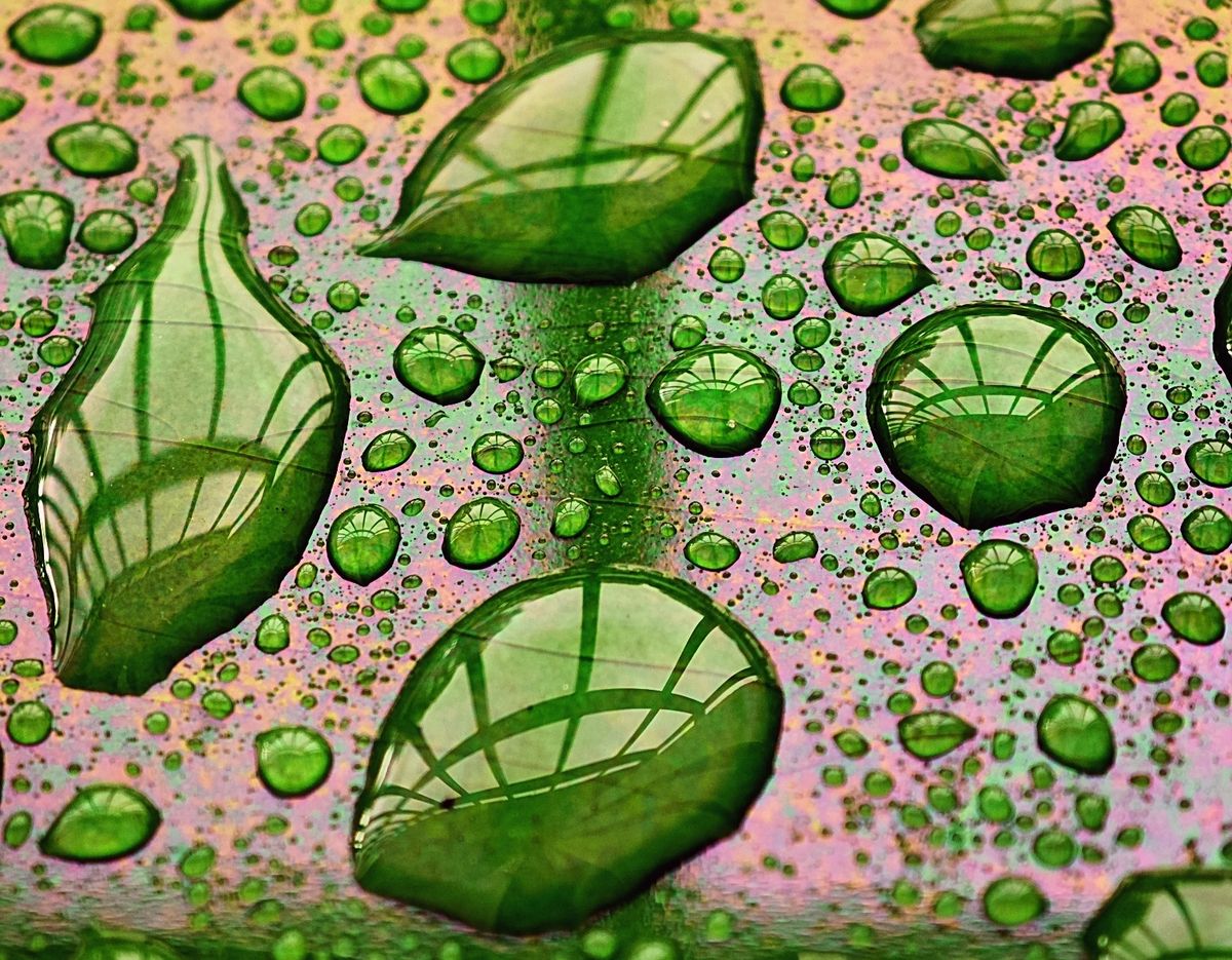 Fotografía 48 de la exposición Gotas