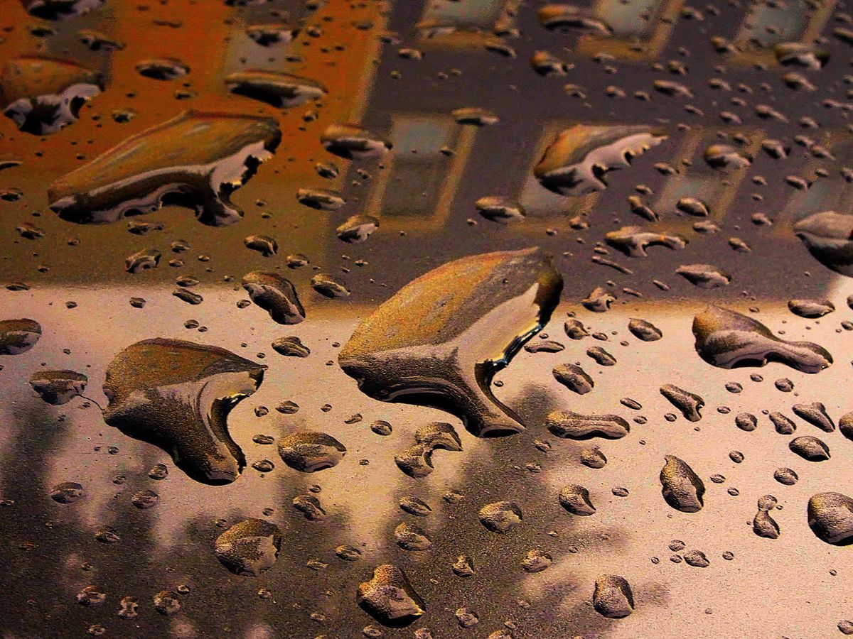 Fotografía 6 de la exposición Gotas