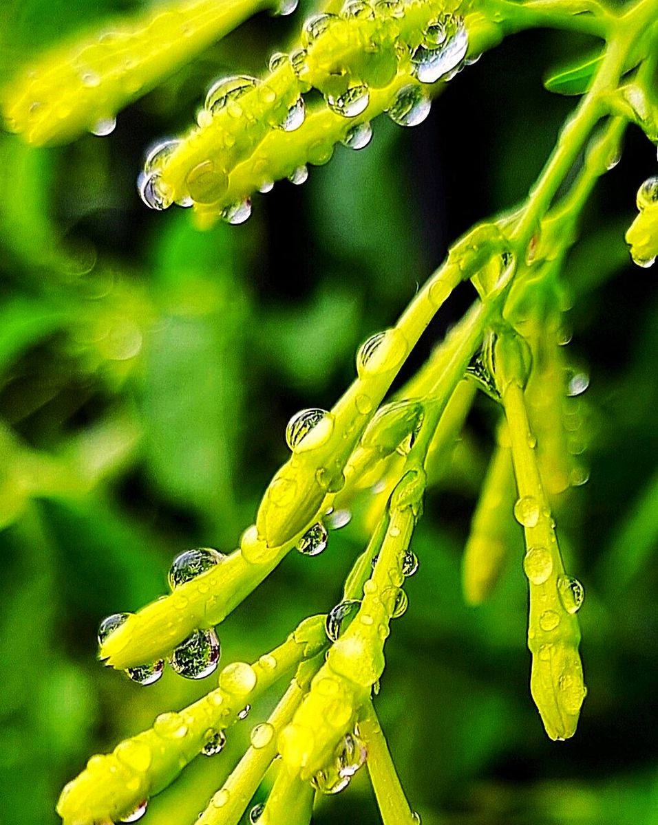 Fotografía 9 de la exposición Gotas